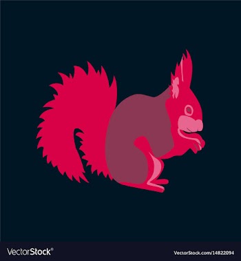 In flat style squirrel vector image