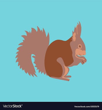 In flat style squirrel vector image