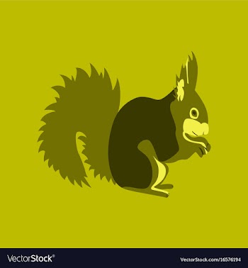 In flat style squirrel vector image