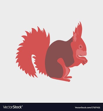 In flat style squirrel vector image