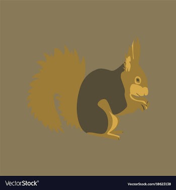 In flat style squirrel vector image