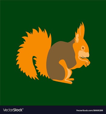 In flat style squirrel vector image