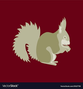In flat style squirrel vector image