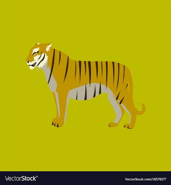In flat style tiger vector image