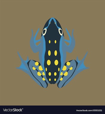 In flat style toad vector image