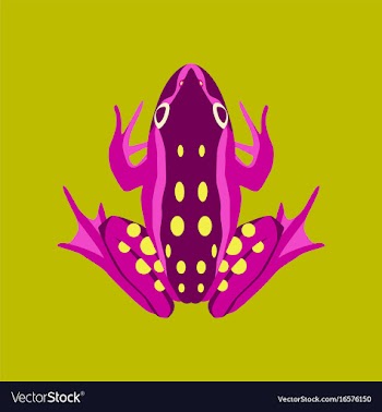 In flat style toad vector image