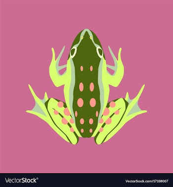 In flat style toad vector image