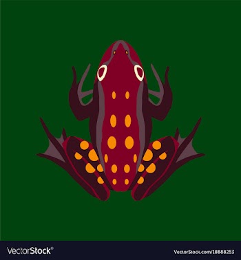 In flat style toad vector image