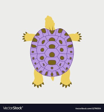 In flat style turtle vector image