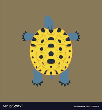 In flat style turtle vector image