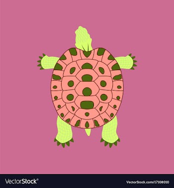 In flat style turtle vector image