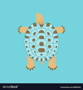 In flat style turtle vector image
