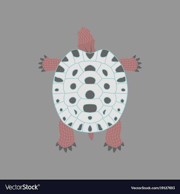 In flat style turtle vector image