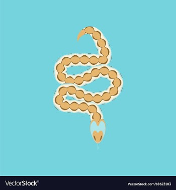 In flat style viper vector image