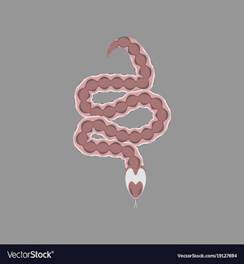 In flat style viper vector image