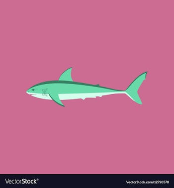 In flat style White shark vector image