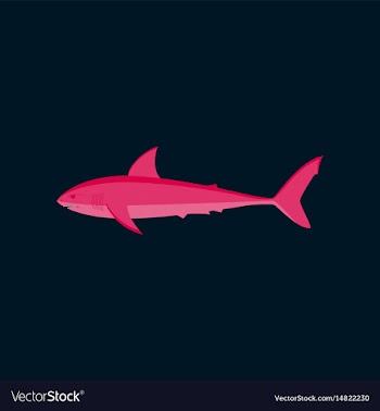 In flat style white shark vector image