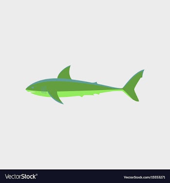 In flat style white shark vector image
