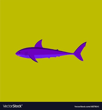 In flat style white shark vector image