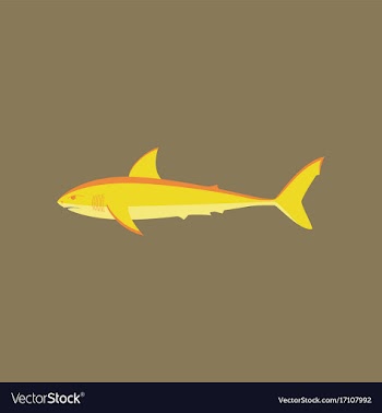 In flat style white shark vector image