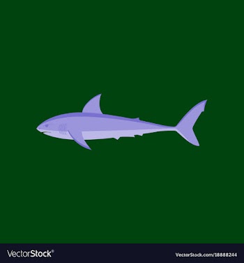 In flat style white shark vector image