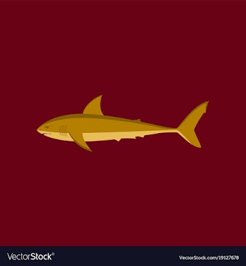In flat style white shark vector image