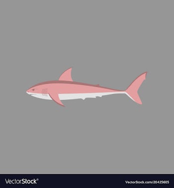 In flat style white shark vector image