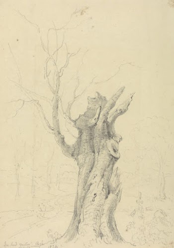 In Lord Yarborough's Park, Appuldurcombe, | Free Photo - rawpixel