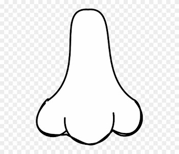 In My Other Romance Languages, The Words For Nose, - White Nose Png