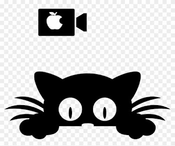 In Other Words, If You're Looking To Adopt A Cat Please - Cat Decal