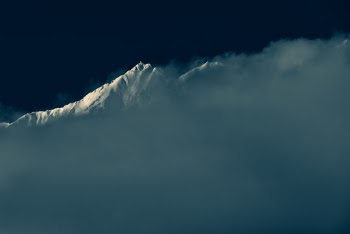 In The Fog