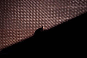 In the Shadows