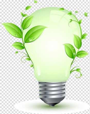 Incandescent bulb with plant illustration, Energy conservation Efficient energy use Electricity Incandescent light bulb, energy saving bulb transparent background PNG clipart