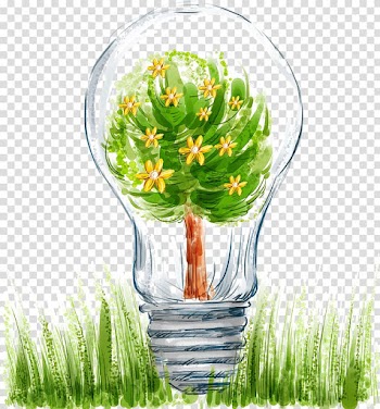 Incandescent light bulb Green Energy conservation Illustration, light bulb transparent background PNG clipart