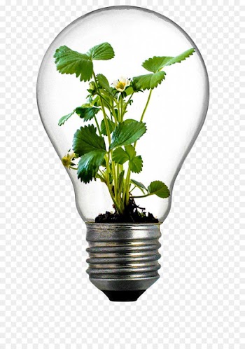 Incandescent light bulb Grow light Flowerpot Plant - green energy saving 