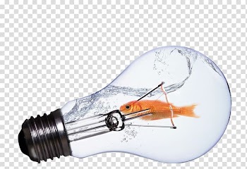 Incandescent light bulb Lamp, Bulb fish transparent background PNG clipart