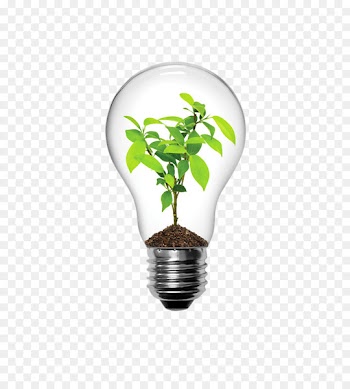 Incandescent light bulb Lighting LED lamp Electric light - Creative bulb plants 