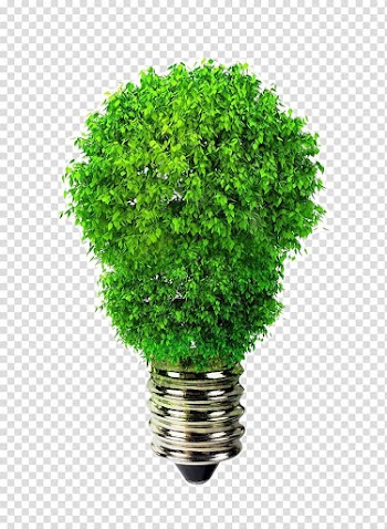 Incandescent light bulb Renewable energy Sustainable energy Solar energy, energy transparent background PNG clipart