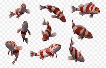 Incandescent light bulb Water Photo manipulation - Nature 3d fish,Beautiful fish 