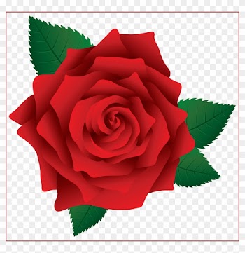 Incredible Clipart And Rose Pict For Red Flower Ideas - Pink Roses Clip Art