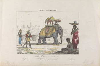 Inde Francaise, Costumes, Elephant Caparaconne | Free Photo - rawpixel
