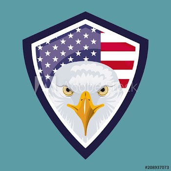 independence day america shield with face eagle usa celebration vector illustration