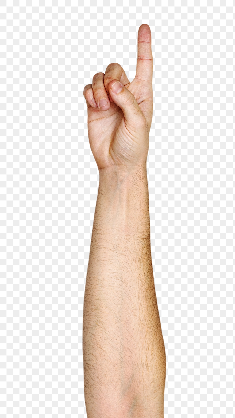 Index finger up png hand | Free PNG - rawpixel