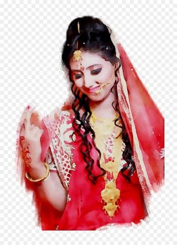 India, Bride, Blouse, Hair, Hairstyle PNG