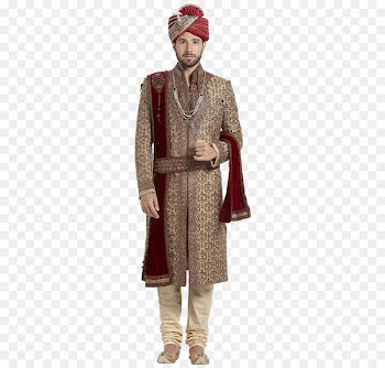 India Costume Clothing Sherwani Wedding dress - groom 