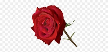 India Krishna Hinduism Sticker - Red Rose Vector Png