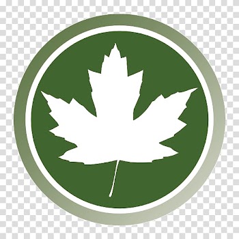 India Service Natural environment Autumn Consultant, environmental icon transparent background PNG clipart