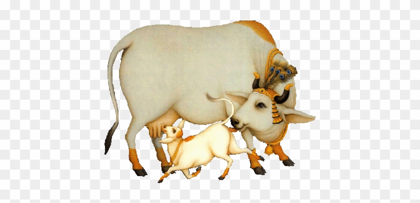 Indian Cow &amp; Calf
