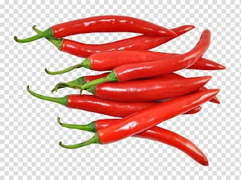 Indian cuisine Chili pepper Spice Bell pepper Vegetable, vegetable transparent background PNG clipart