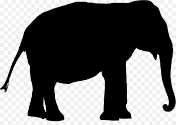 Indian elephant African elephant Cattle Mammal Clip art -  